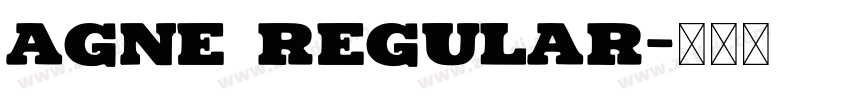Agne Regular字体转换